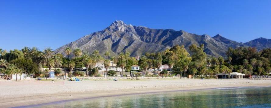 Jardines Del Puerto Daire Marbella Dış mekan fotoğraf